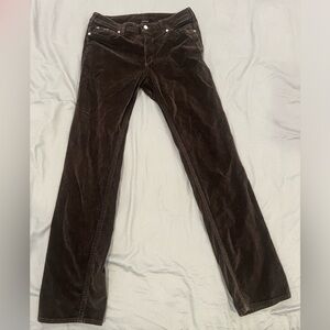 Pure Collection Pure Color dark chocolate velvet pants sz 30